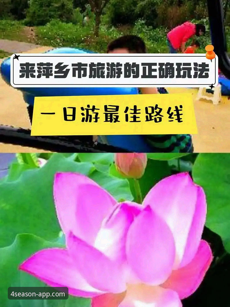四季体育官网手机版入口必备：移动端App与手机版网页的区别，哪个更适合你？